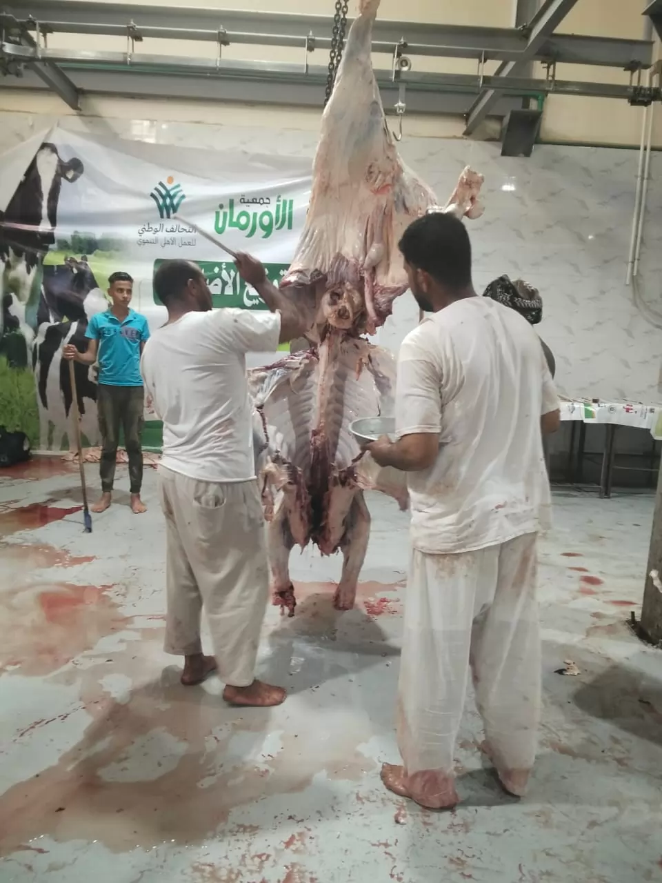 محافظ أسيوط: ذبح الأضاحي بالمجازر الحكومية مجانًا طوال أيام العيد