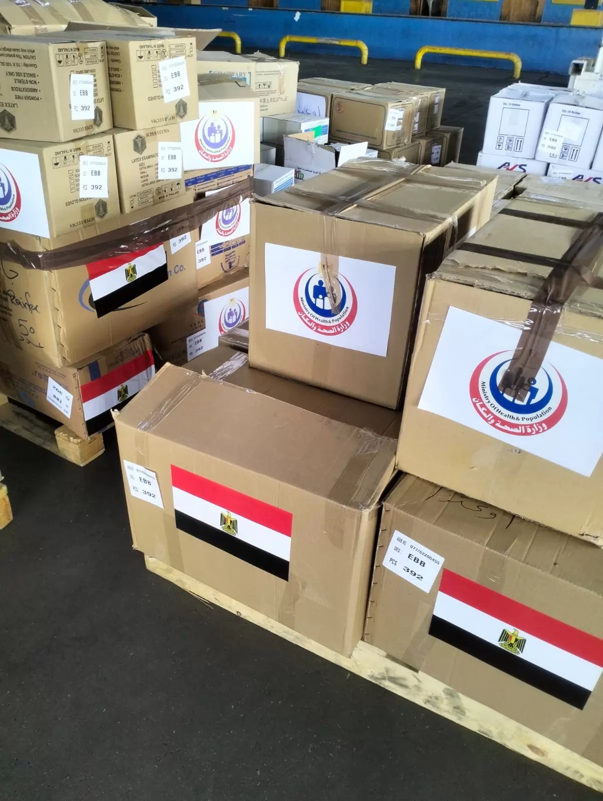 مصر ترسل شحنة أدوية للكونغو الديمقراطية وأوغندا لمواجهة الإيبولا