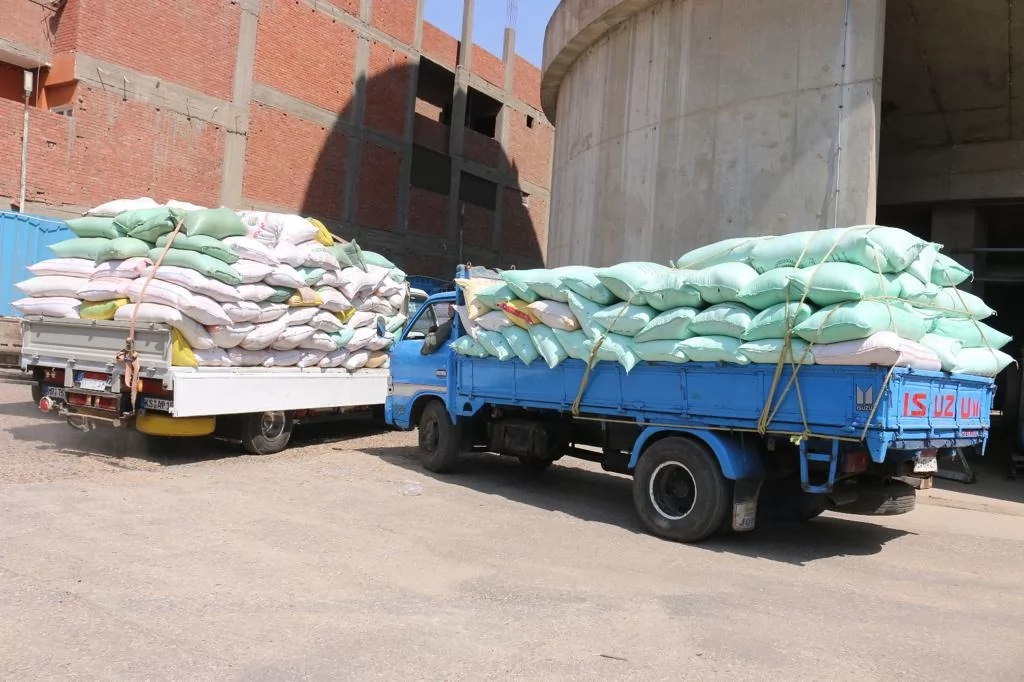 محافظ المنوفية :توريد أكثر من 140  ألف طن قمح منذ بدء موسم الحصاد