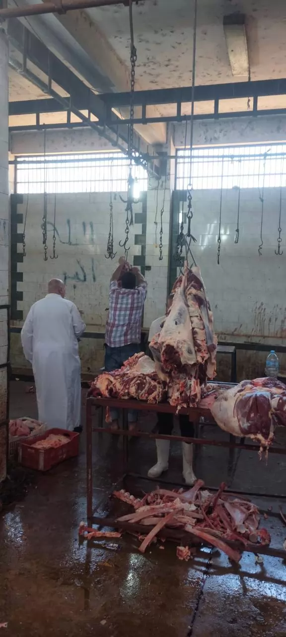 الزراعة: ذبح 35,514 أضحية بالمجازر الحكومية مجاناً للمواطنين