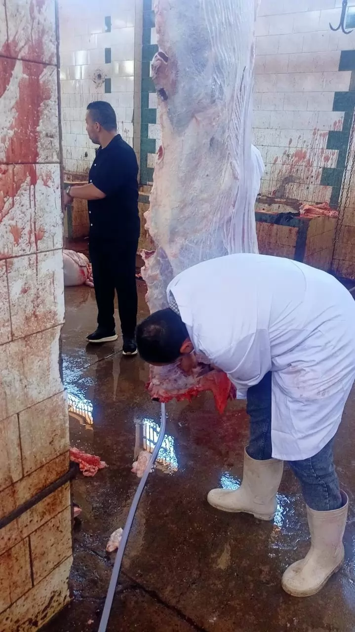 الزراعة: ذبح 35,514 أضحية بالمجازر الحكومية مجاناً للمواطنين