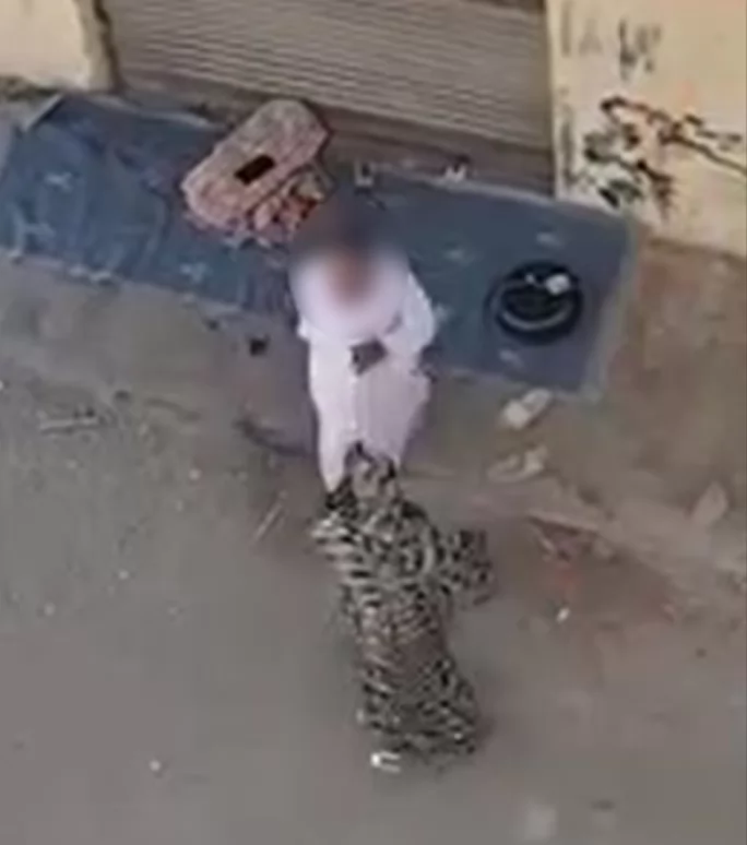 بسبب 