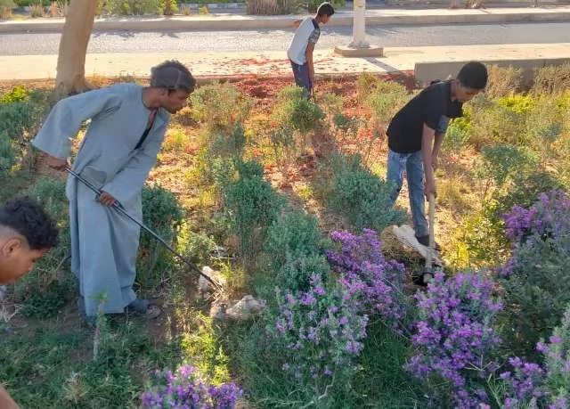 شاهد بالصور.. تنفيذ أكبر مشروعات الزراعة والتجميل داخل مدينة الشر