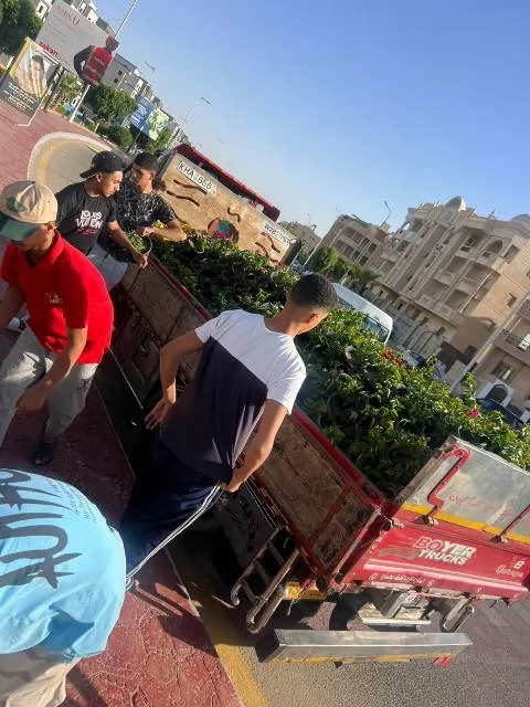شاهد بالصور.. تنفيذ أكبر مشروعات الزراعة والتجميل داخل مدينة الشر
