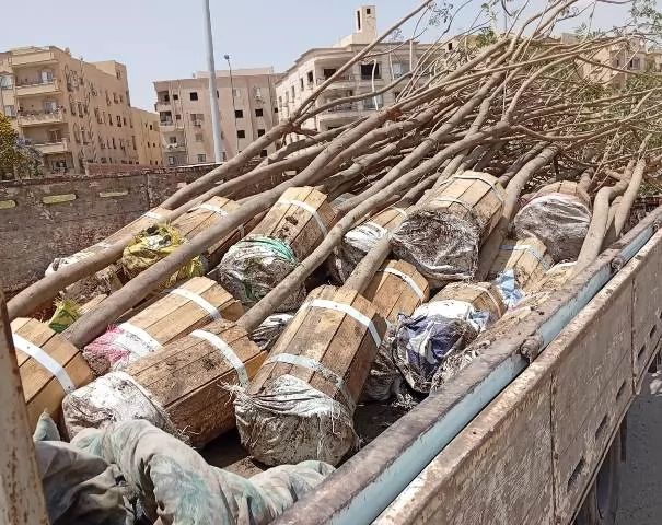 شاهد بالصور.. تنفيذ أكبر مشروعات الزراعة والتجميل داخل مدينة الشر