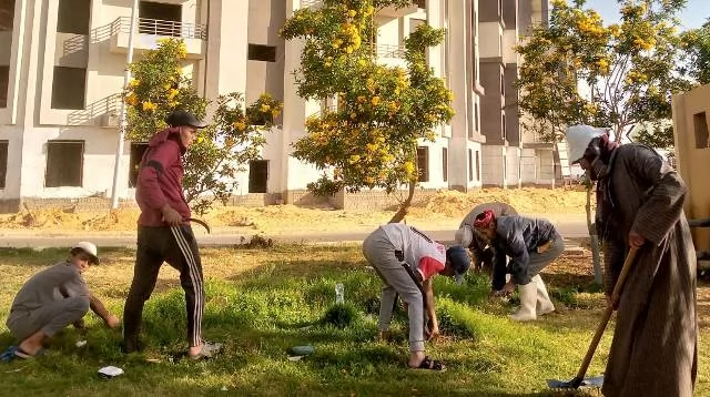 شاهد بالصور.. تنفيذ أكبر مشروعات الزراعة والتجميل داخل مدينة الشر