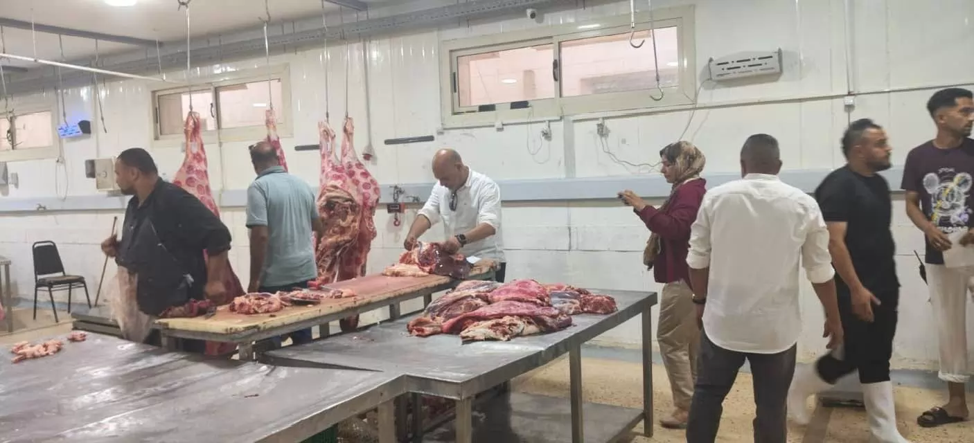 جهاز العبور الجديدة يضبط 440 كجم لحوم غير صالحة للاستهلاك  الآدمي