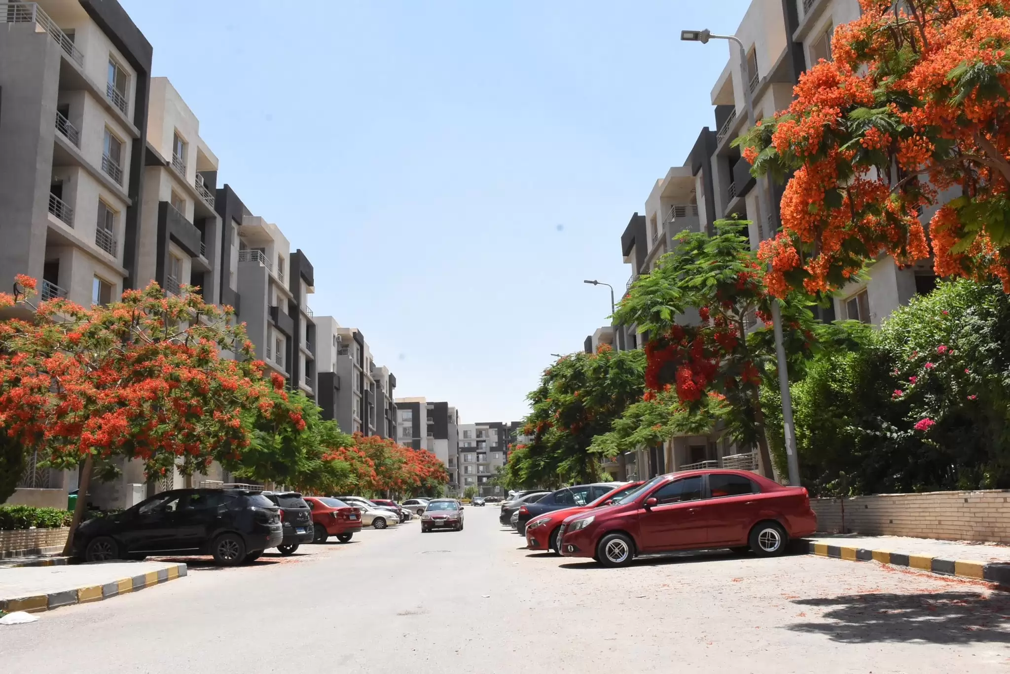 رئيس جهاز القاهرة الجديدة يتفقد كمبوند جنة لرفع كفاءة الخدمات 
