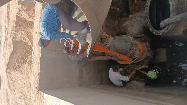 خطوة هامة من جهاز بدر عن أهم مشروع يساهم فى زراعة وتجميل المدينة.