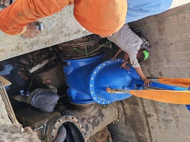 خطوة هامة من جهاز بدر عن أهم مشروع يساهم فى زراعة وتجميل المدينة.