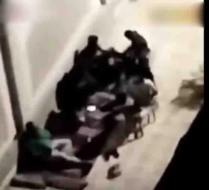 الداخلية تكشف ملابسات فيديو تشغيل الأغاني داخل ساحة مسجد ببورسعيد