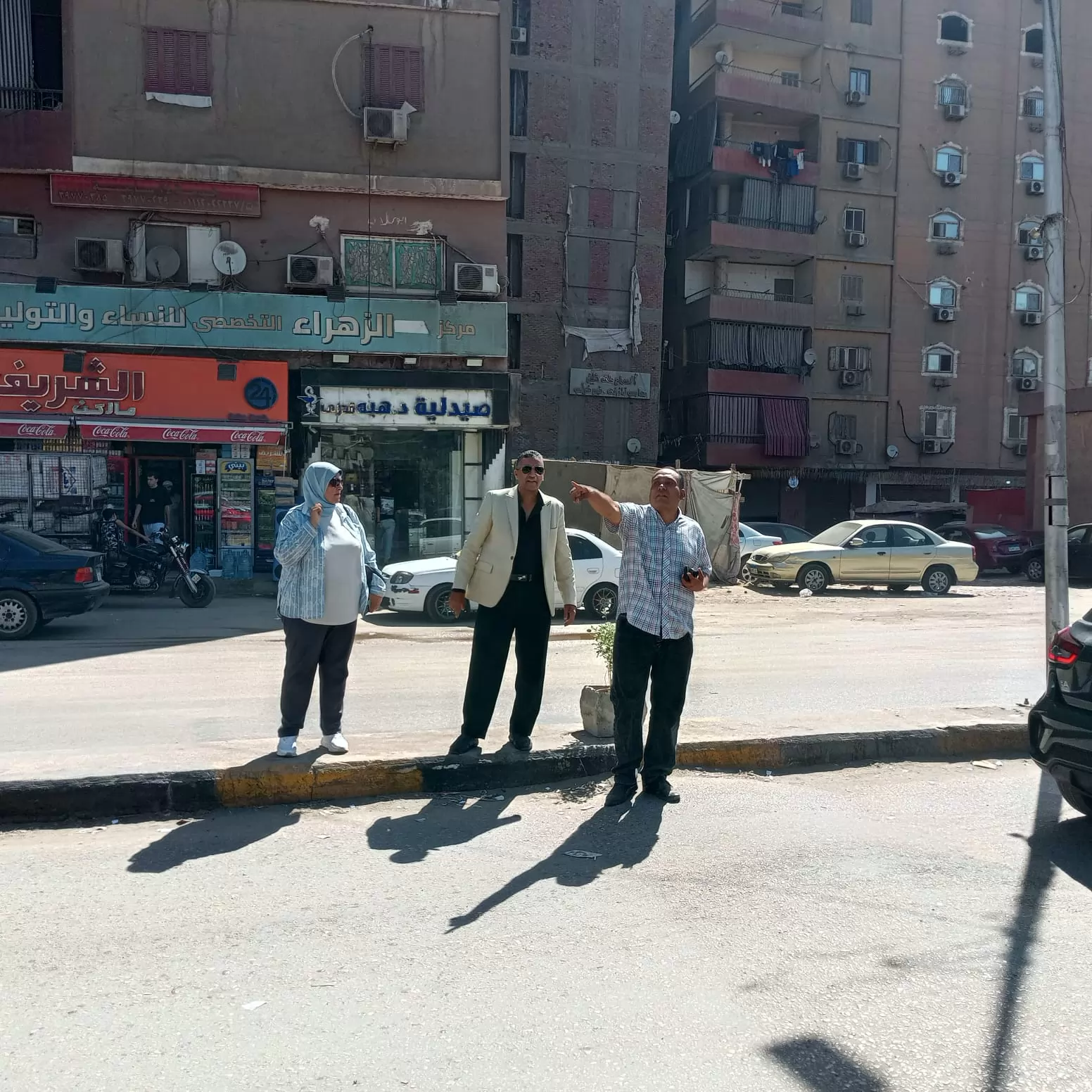 حملات تشجير وتطوير وزيادة المساحات الخضراء بحي الوراق 