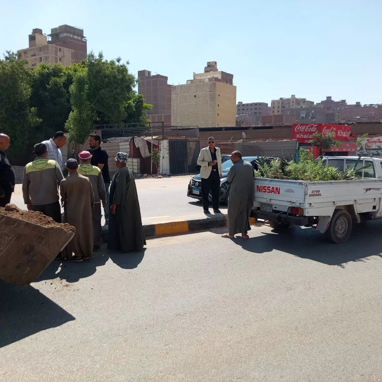 حملات تشجير وتطوير وزيادة المساحات الخضراء بحي الوراق 
