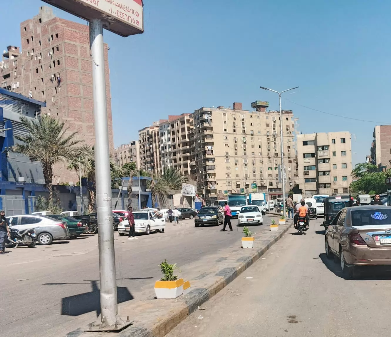 حملات تشجير وتطوير وزيادة المساحات الخضراء بحي الوراق 