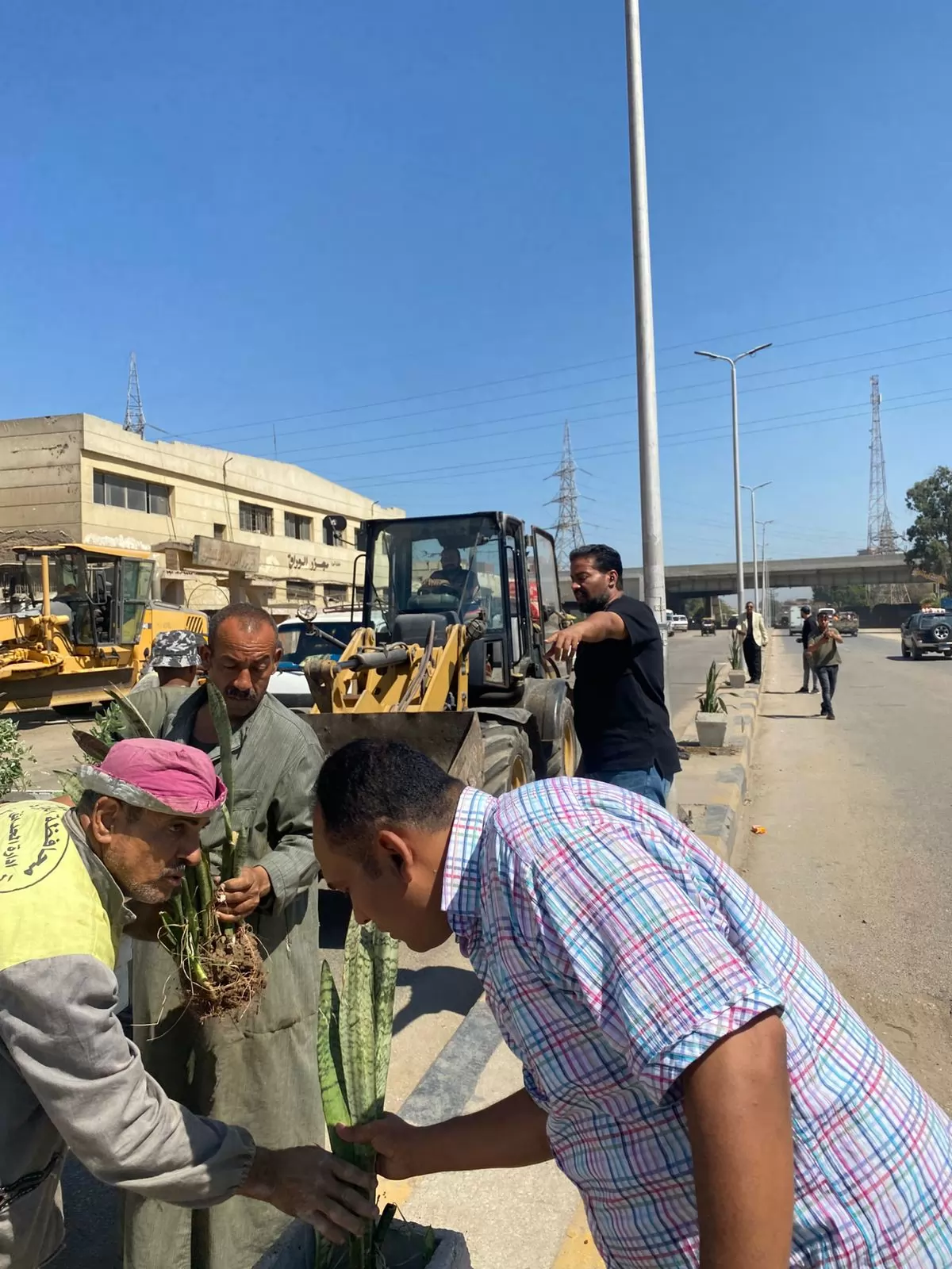 حملات تشجير وتطوير وزيادة المساحات الخضراء بحي الوراق 