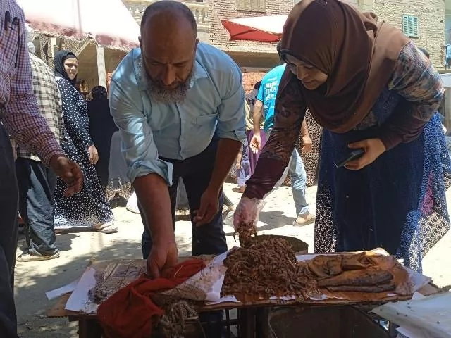 ضبط أكثر من نصف طن دواجن وأسماك ولحوم غير صالحة بالمنيا 