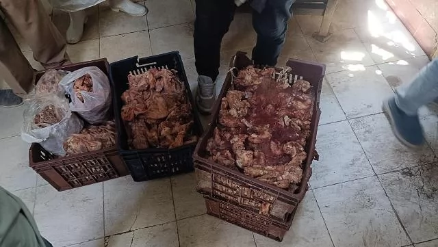 ضبط أكثر من نصف طن دواجن وأسماك ولحوم غير صالحة بالمنيا 