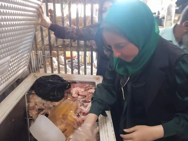 ضبط أكثر من نصف طن دواجن وأسماك ولحوم غير صالحة بالمنيا 