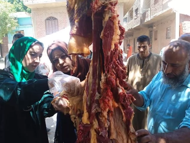 ضبط أكثر من نصف طن دواجن وأسماك ولحوم غير صالحة بالمنيا 