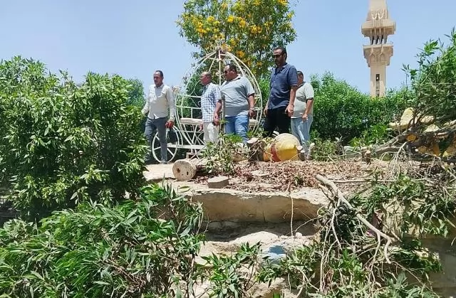 جهاز 15 مايو يزيل تعديات على أراضى الدولة وزراعة مخالفة بالمدينة.