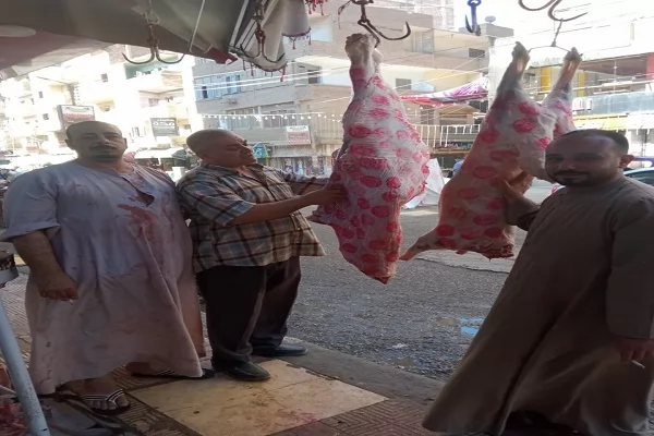 بيطري المنيا يضبط 463.5 كجم لحوم وتحرير 30 محضرًا 