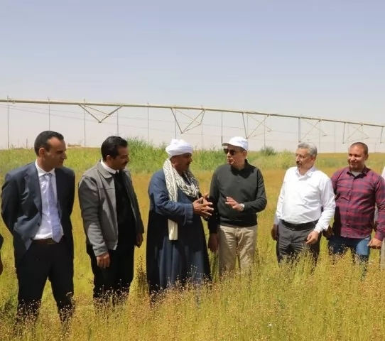 محافظة المنياالأولى على مستوى الجمهورية في ملف تقنين أراضي الدولة