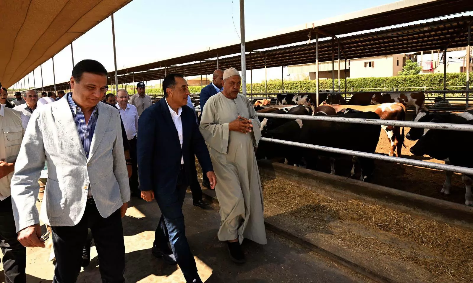 رئيس الوزراء يتفقد مزرعة 