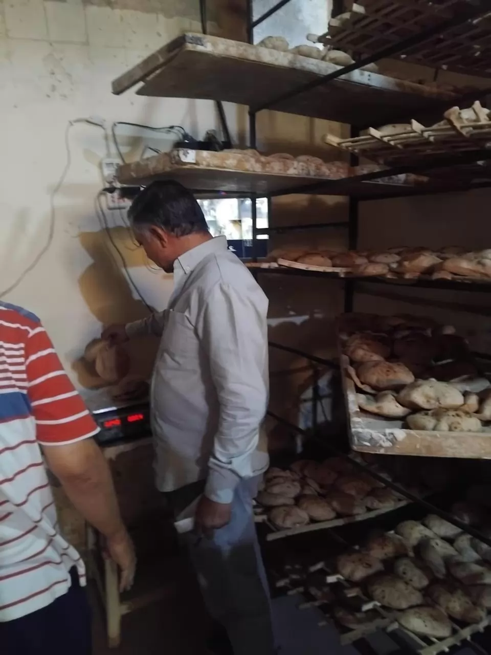 تحرير 205 مخالفات وضبط لحوم غير صالحة للاستهلاك الآدمي بالمنيا