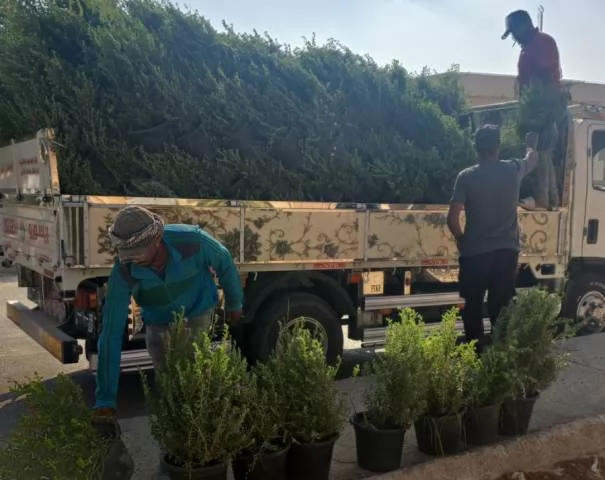 تعرف على أحدث مشروعات الزراعة والتجميل من جهاز النوبارية الجديدة.
