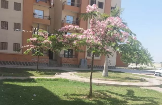 تعرف على أحدث مشروعات الزراعة والتجميل من جهاز النوبارية الجديدة.