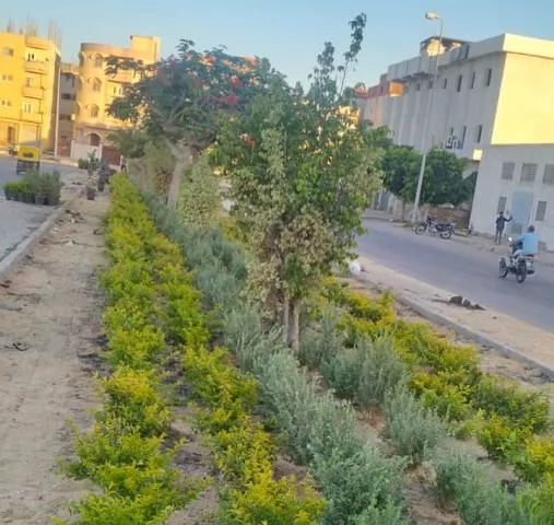 تعرف على أحدث مشروعات الزراعة والتجميل من جهاز النوبارية الجديدة.