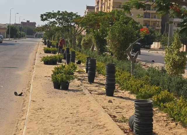 تعرف على أحدث مشروعات الزراعة والتجميل من جهاز النوبارية الجديدة.