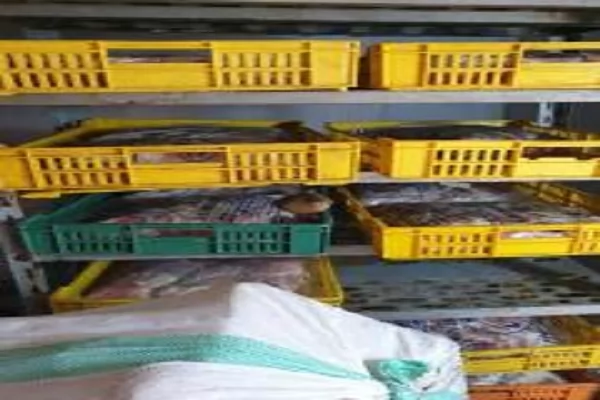  ضبط  4 أطنان و 147 كيلو دواجن  ولحوم وأسماك غير صالحة للاستهلاك 