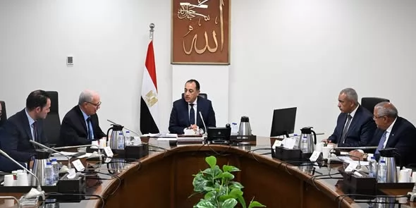 رئيس الوزراء يتابع مستجدات جهود إعادة هيكلة الشركات المملوكة للدولة