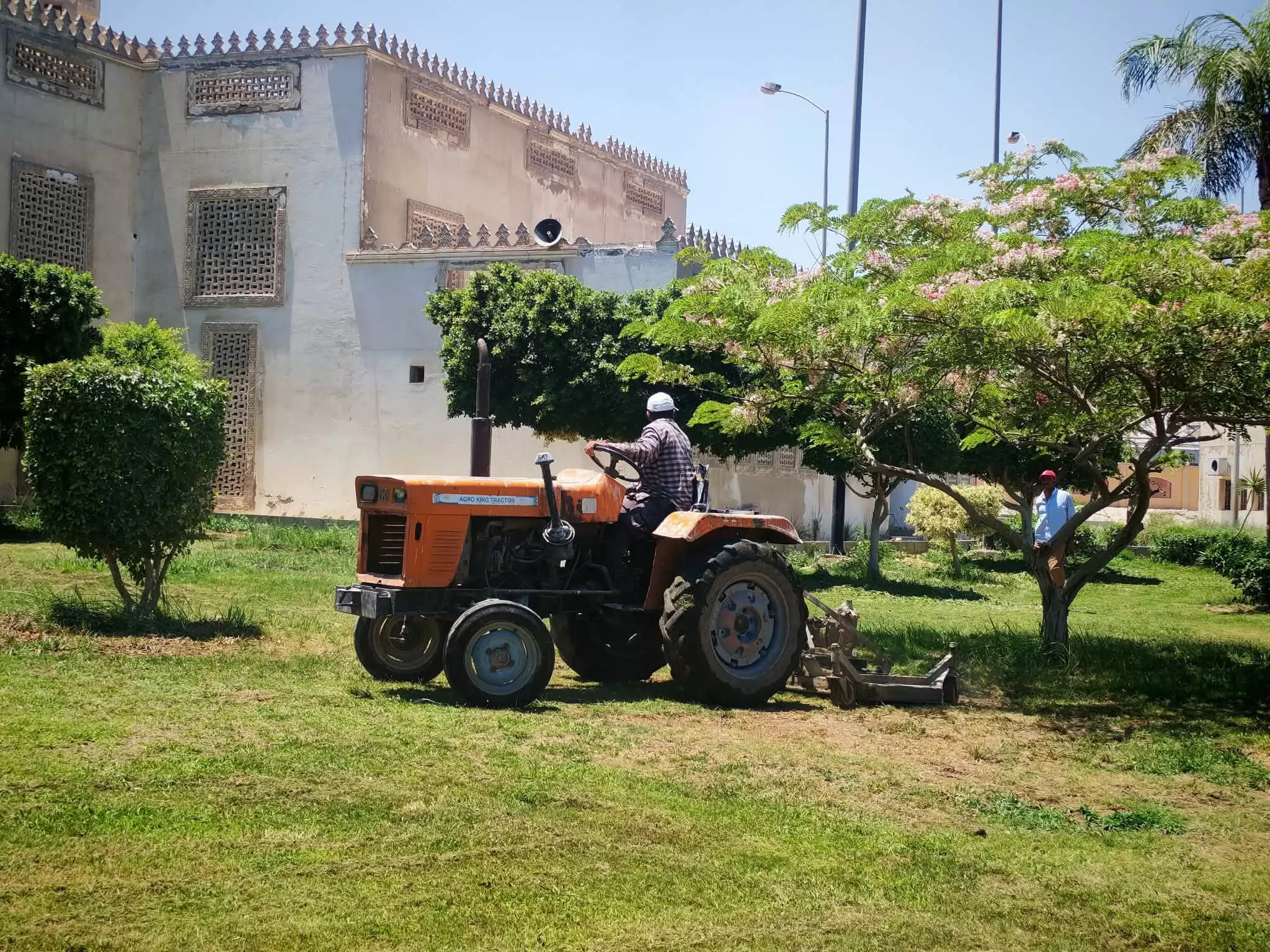 خطة شاملة للتوسع في المسطحات الخضراء بمدينة السويس الجديدة