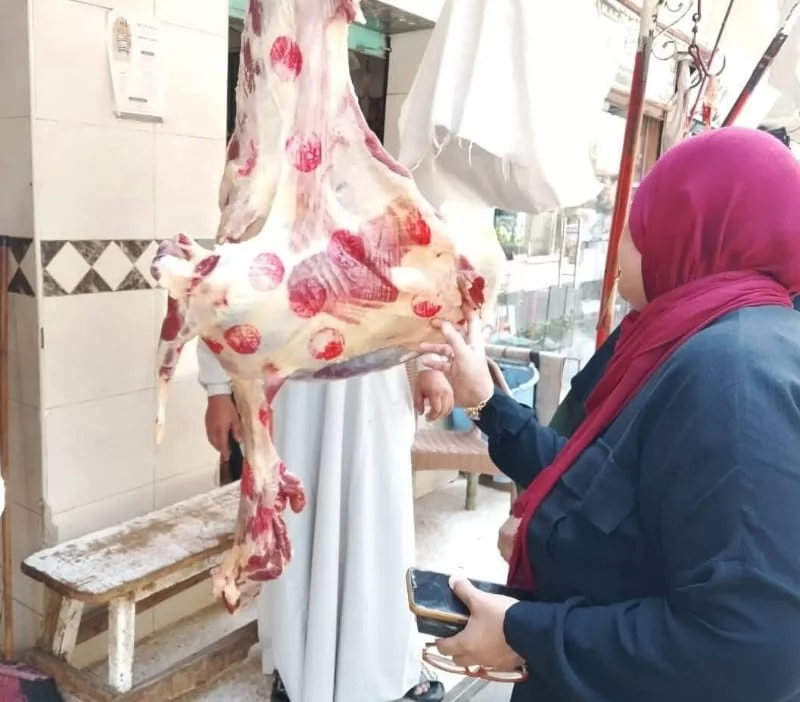 تحرير 85 مخالفة وضبط لحوم مذبوحة خارج السلخانة بالقليوبية