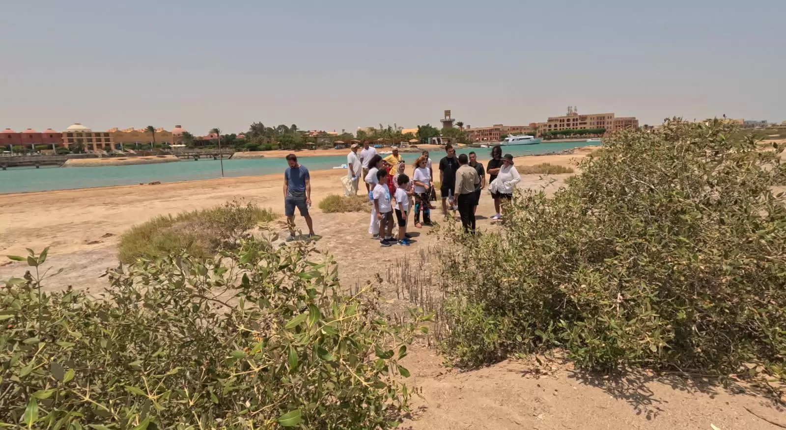 ندوة  توعوية حول أشجار المانجروف بالغردقة 