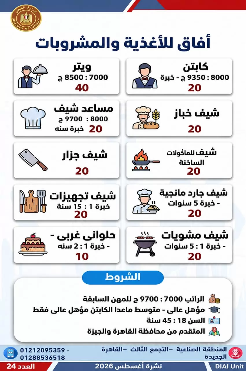 وظائف للشباب وذوي الهمم.. 1355 فرصة عمل في 7 محافظات