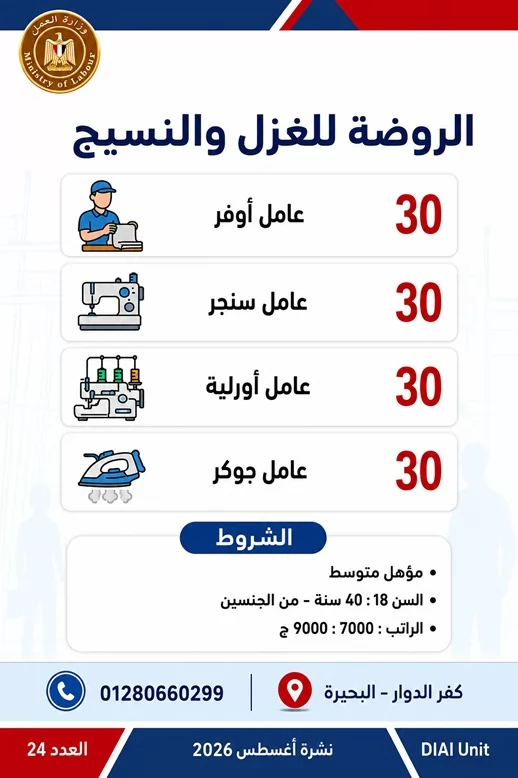 وظائف للشباب وذوي الهمم.. 1355 فرصة عمل في 7 محافظات