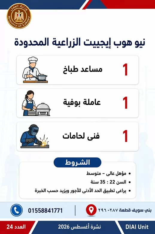وظائف للشباب وذوي الهمم.. 1355 فرصة عمل في 7 محافظات