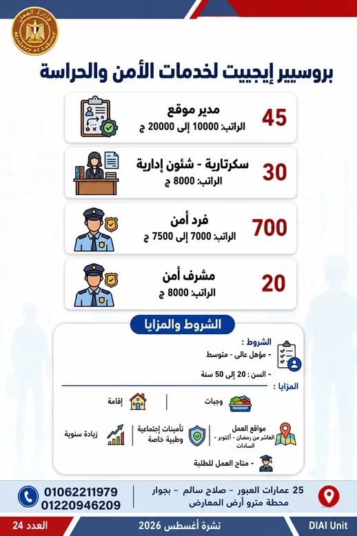 وظائف للشباب وذوي الهمم.. 1355 فرصة عمل في 7 محافظات