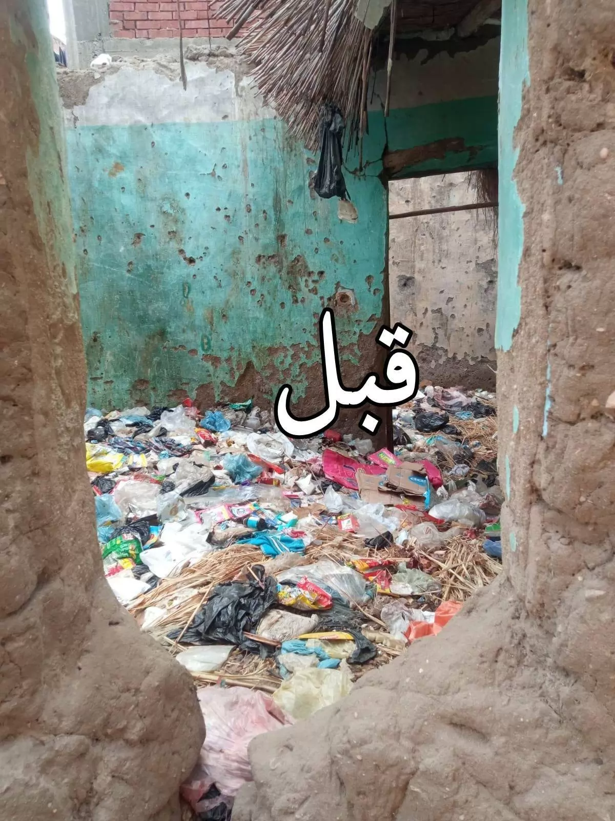رفع تراكمات القمامة من المنازل المهجورة في التل الكبير ..صور