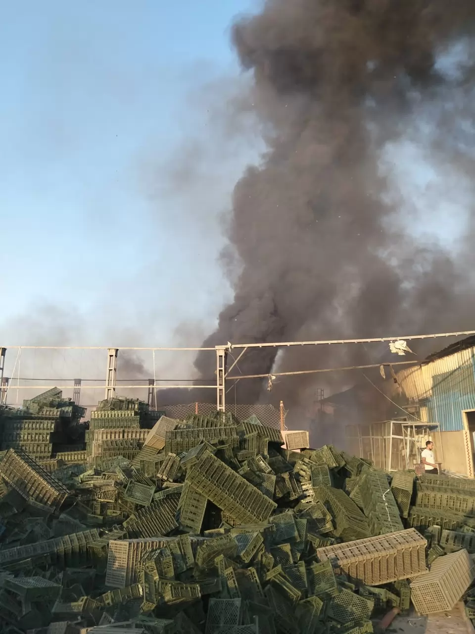  اصابة 14 عامل فى حريق هائل بمحطة تصدير موالح بالشرقية