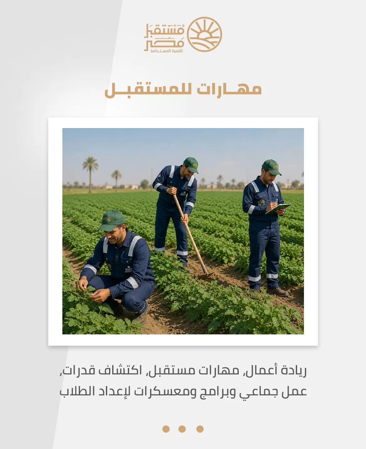 من الدراسة إلى سوق العمل.. 6 مزايا لاختيار 