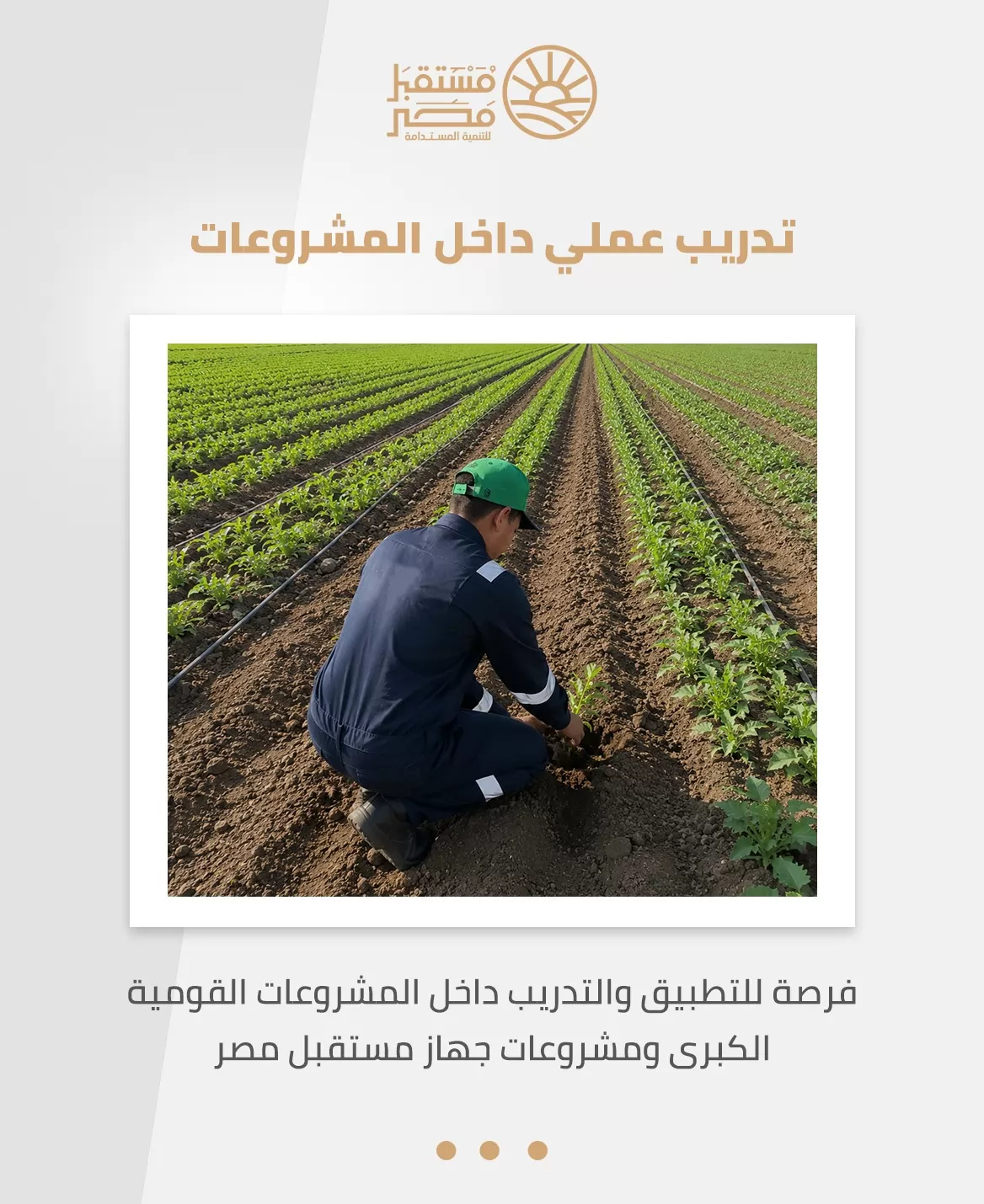 من الدراسة إلى سوق العمل.. 6 مزايا لاختيار 