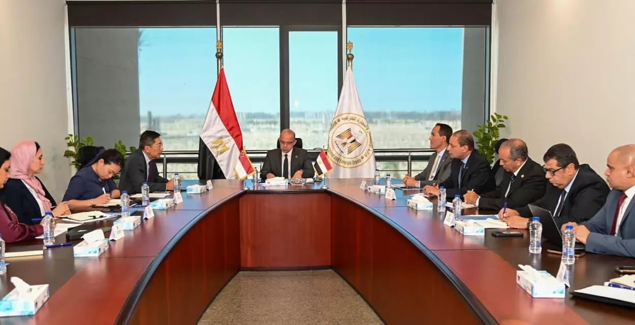وزير الاستثمار يبحث مع سفير سنغافورة تعزيز التعاون الاستثماري وال