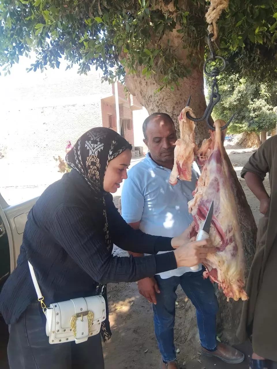 تحرير 338 مخالفة تموينية وضبط مخزن أدوية بدون ترخيص بالمنيا 