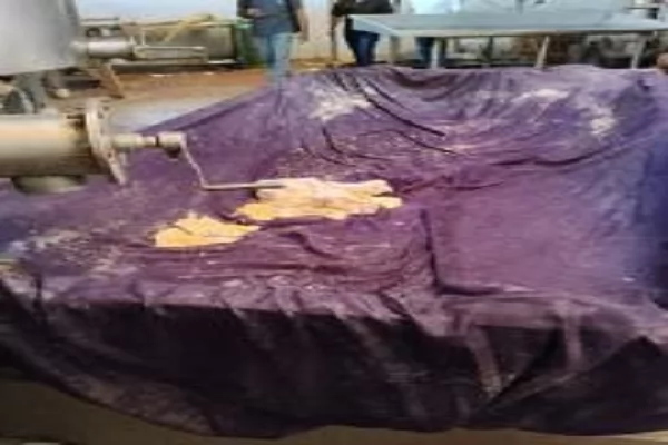 ضبط 3 أطنان ملح و 1200 لتر ألبان غير صالحة بالشرقية 