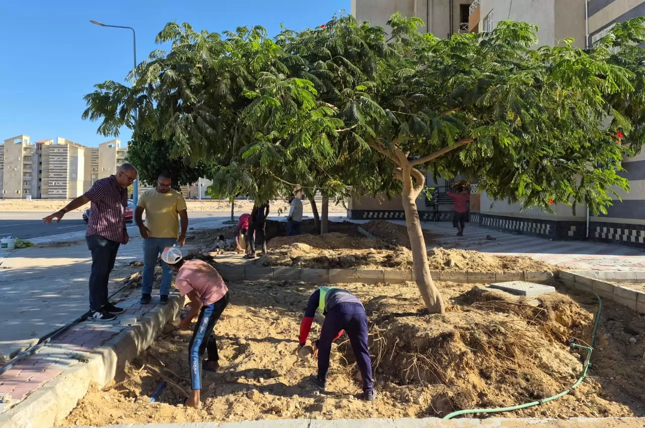 العلمين الجديدة ترفع كفاءة الزراعات وشبكات الري بالإسكان المتميز