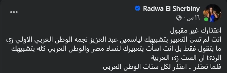 رضوى الشربيني تعلق على تصريحات أحمد العوضي